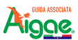 Logo Aigae